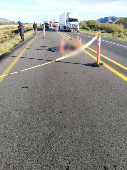 MUERE ARROLLADO EN CARRETERA.