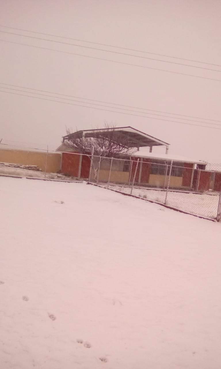 CAE NIEVE AL SUR DEL ESTADO EN GALEANA.