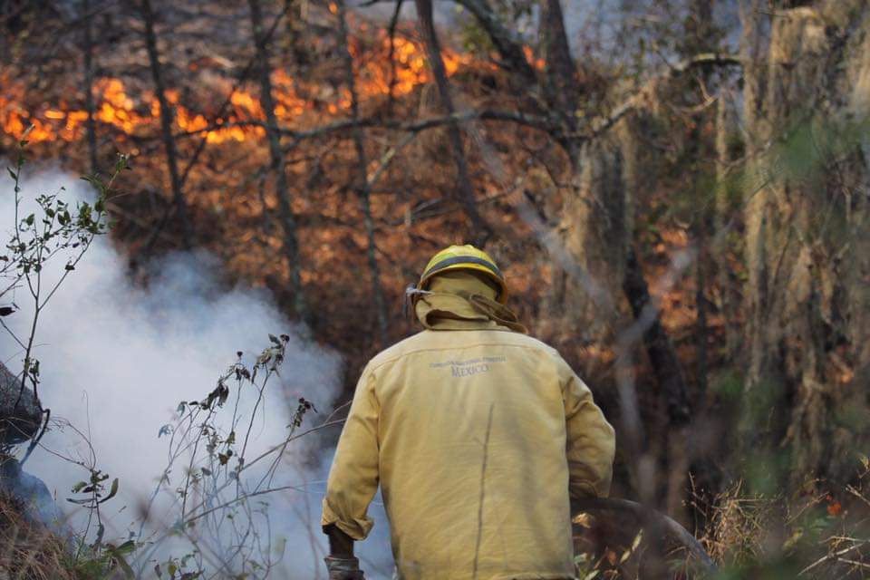 CONTINÚAN TRABAJANDO PARA COMBATIR INCENDIO EN SIERRA DE SANTIAGO.