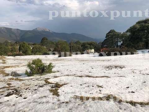 VISTE DE BLANCO UN SECTOR DE GRAL. ZARAGOZA. EL GRANIZO.