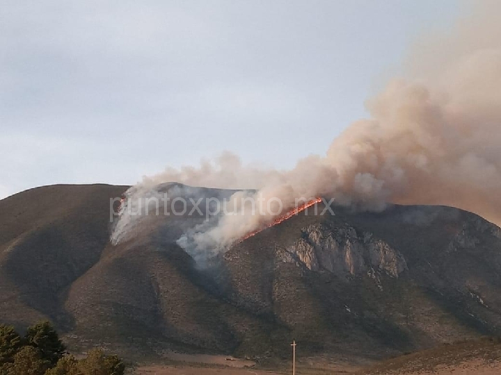 INCENDIO FORESTAL EN GALEANA, COLINDANTE CON SIERRA DE ARTEAGA COAHUILA.