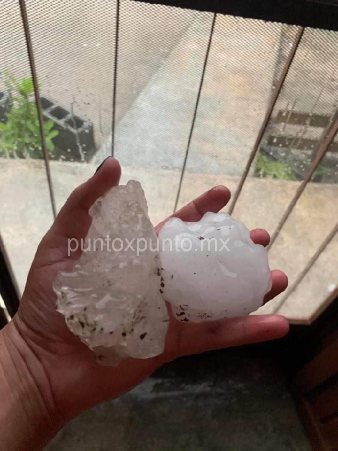 REPORTAN LA CAIDA DE GRANIZO EN GENERAL TERAN, AL TAMAÑO DE UNA PELOTA DE BEISBOL.