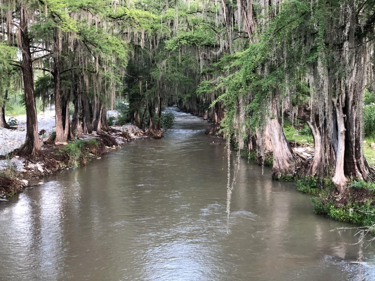 LLUVIAS REGISTRADAS EN ALLENDE INCREMENTAN SUS CAUDALES EN RIO RAMOS Y RAICES.