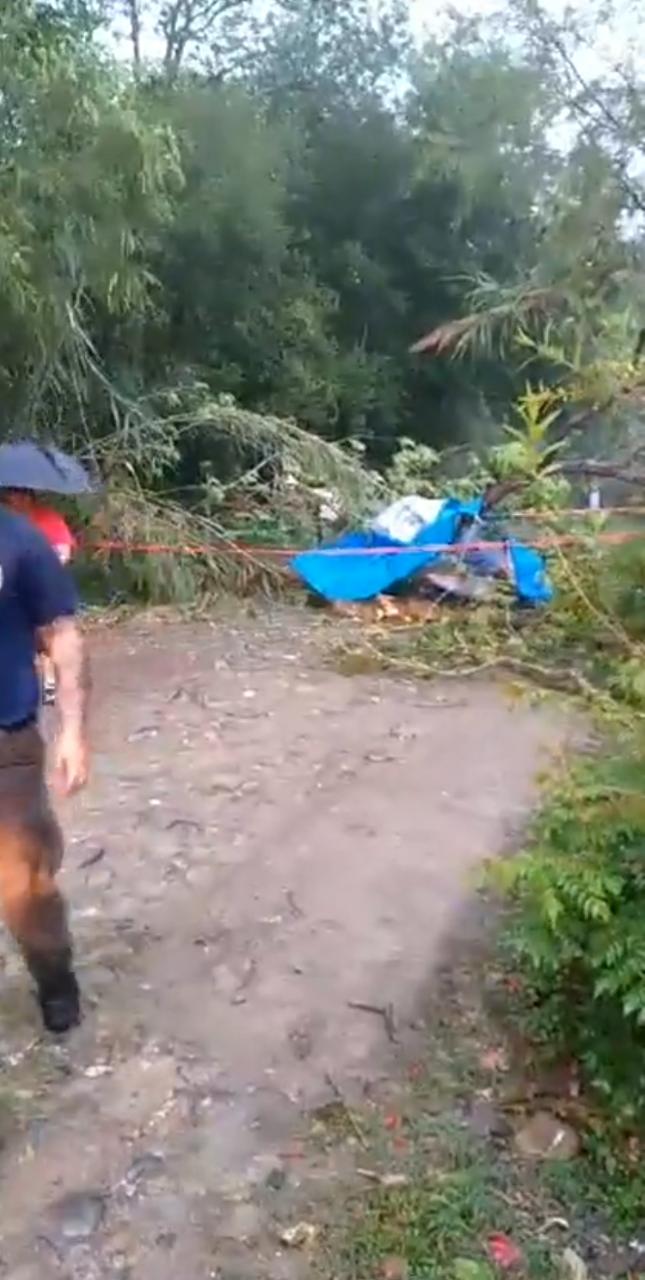 IDENTIFICAN A MUJER QUIEN MUERE AL CAERLE UN ARBOL EN CADEREYTA.