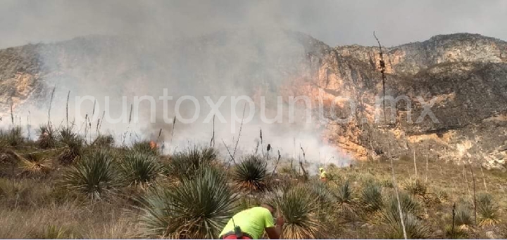 TORMENTA ELECTRICA GENERA INCENDIO EN SIERRA DE GALEANA, TRABAJAN PARA CONTROLARLO.