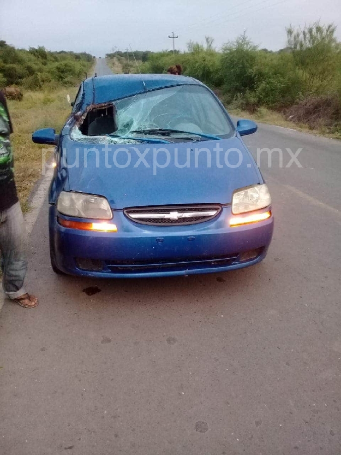 DOS PERSONAS LESIONADAS AL ATRAVESARSE UN CABALLO EN CARRETERA QUE DIRIGE AL CHOCOLATE.