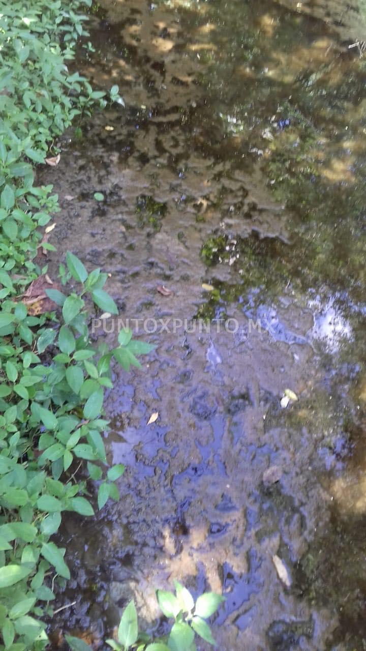 DENUNCIAN CONTAMINACION DE RIO, OCASIONADO POR FRACCIONAMIENTO EN SANTIAGO.