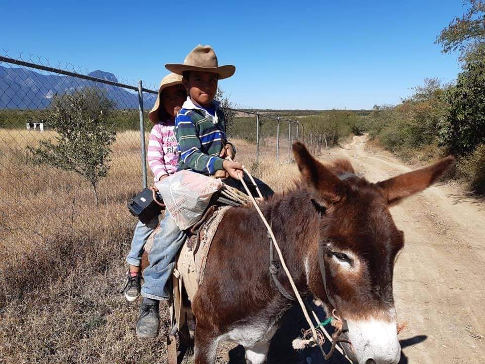 2 HERMANITOS DE LINARES, NUEVO LEON, EN BURRO SE DESPLAZAN PARA ENCONTRAR EN EL CAMINO A SU PROFESOR. PARA ENTREGAR TAREAS Y RECIBIR MAS TRABAJOS EDUCATIVOS.