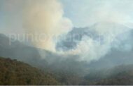 REPORTAN INCENDIO EN SIERRA DE GENERAL ZARAGOZA, NUEVO LEON.