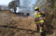 INCENDIO DE PASTIZAL EN LINARES MOVILIZA A BOMBEROS.