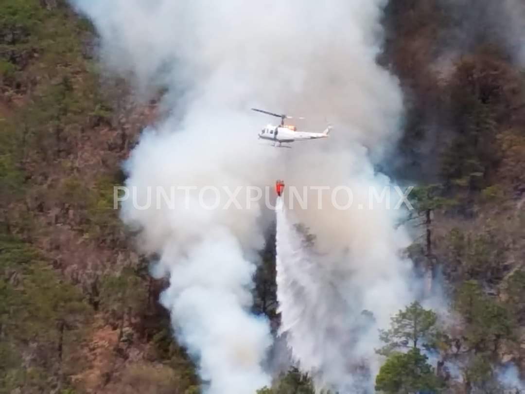 FUE HELICÓPTERO DE PROTECCIÓN CIVIL EL QUE PARTICIPÓ EN ACCIDENTE AÉREO.