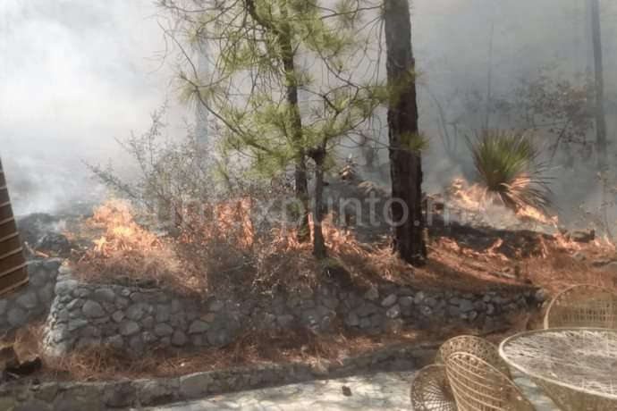 MEDIDA CAUTELAR HABITANTE DE NUEVO LEÓN POR INCENDIO EN ARTEAGA QUE AFECTO A NUEVO LEÓN.