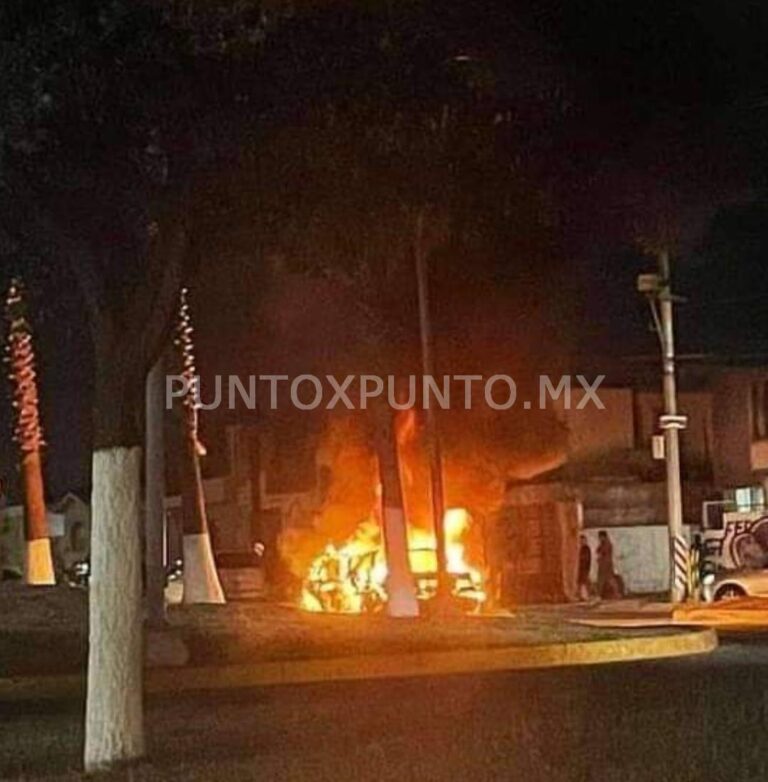 b8636f6b-07fc-4a01-8246-1ecc0e216521