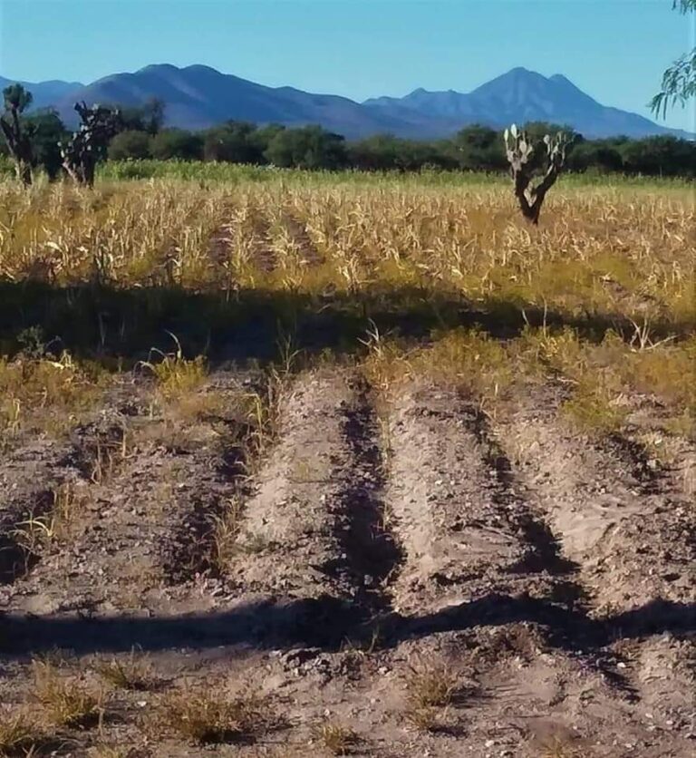 d3da57bd-0d2f-4e6b-8f29-1b6b8d0897fe