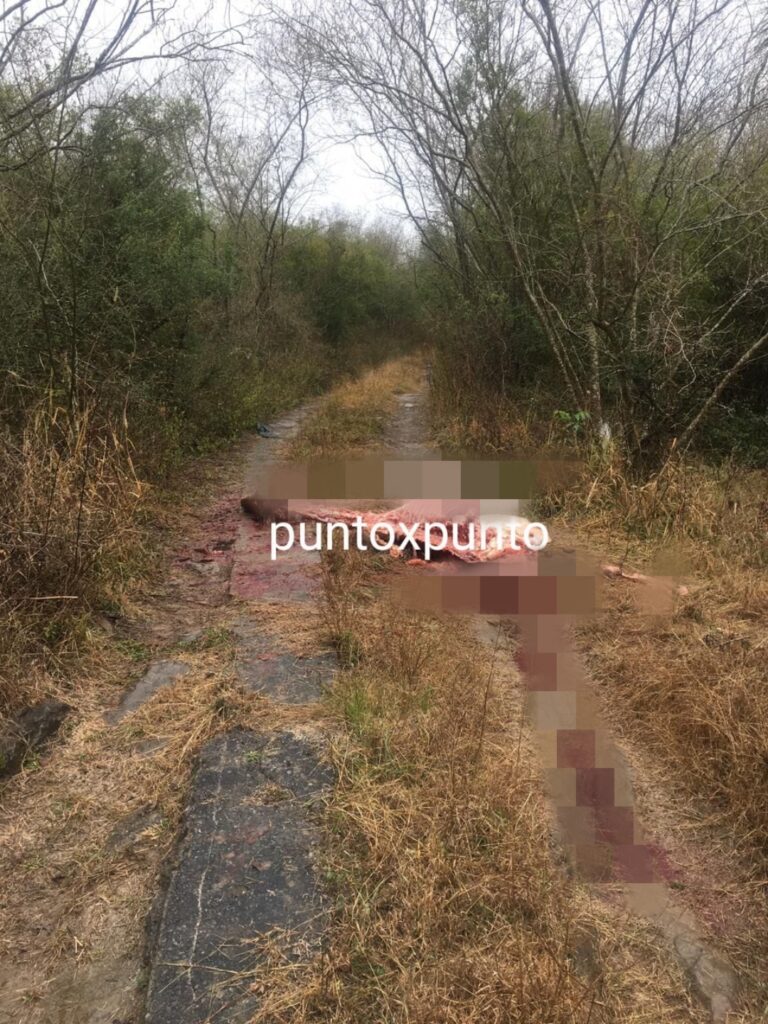 Point-Blur_Feb022022_094609
