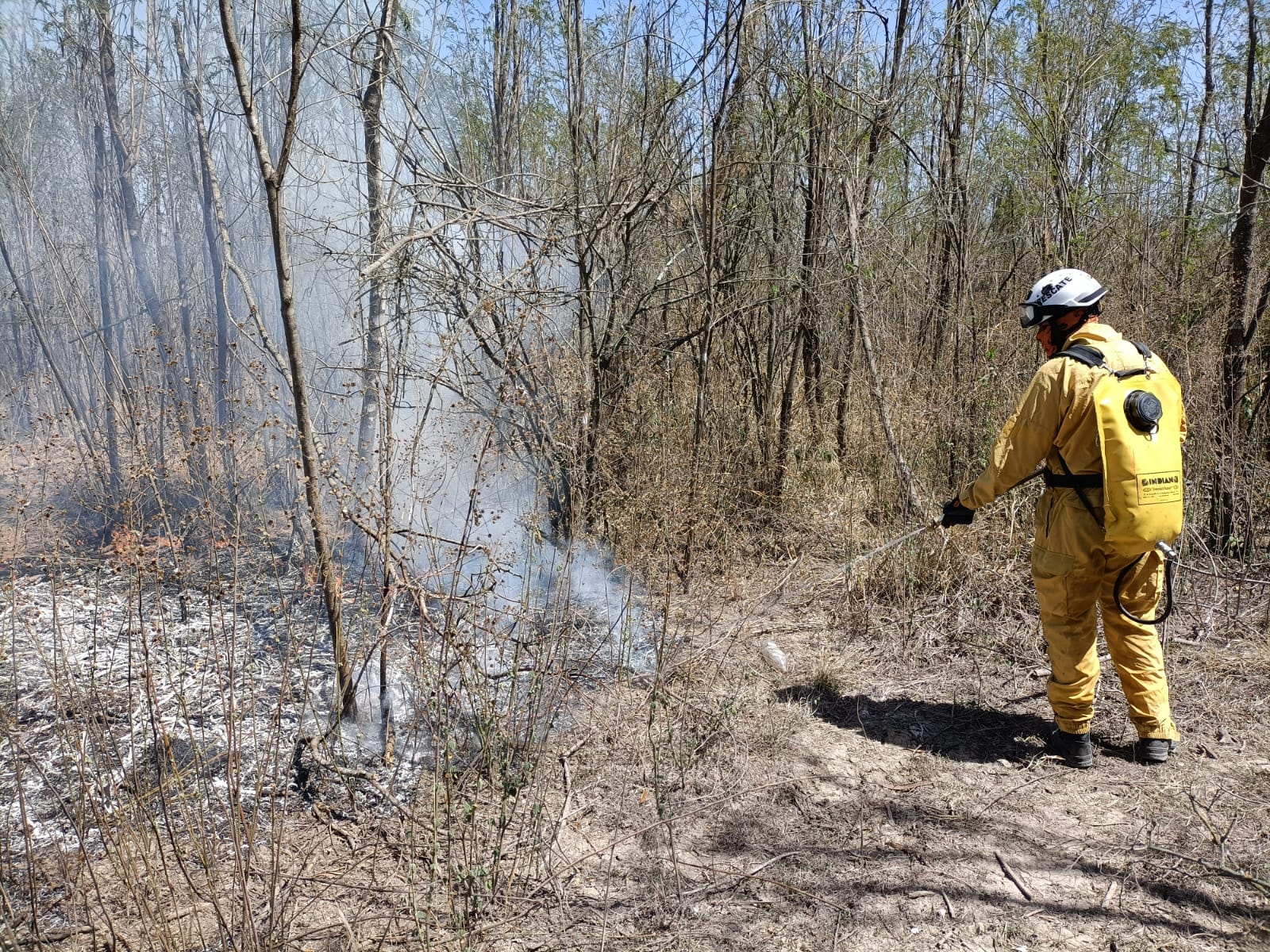 INCENDIO DE PASTIZAL MOVILIZA A PROTECCIÓN CIVIL PARA CONTROLARLO.