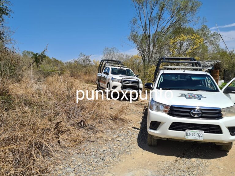 IMG-20220321-WA0066