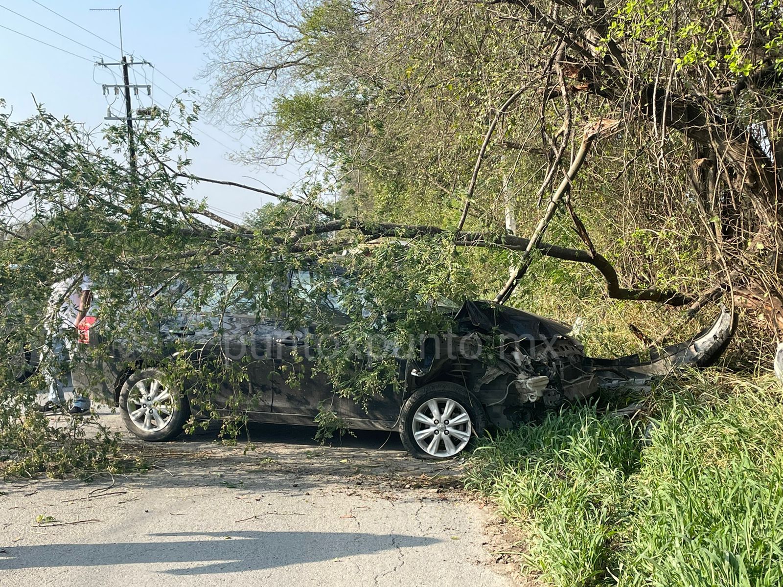 UN HOMBRE DE LA TERCERA EDAD CHOCA SU VEHÍCULO EN UN ÁRBOL EN LINARES.