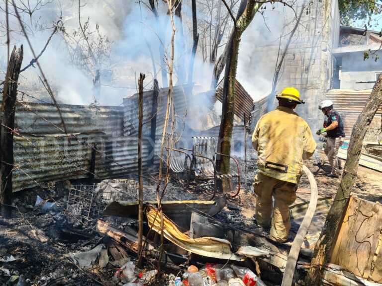 Photo_1654633337894