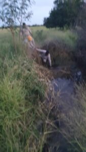 IMG-20220809-WA0044