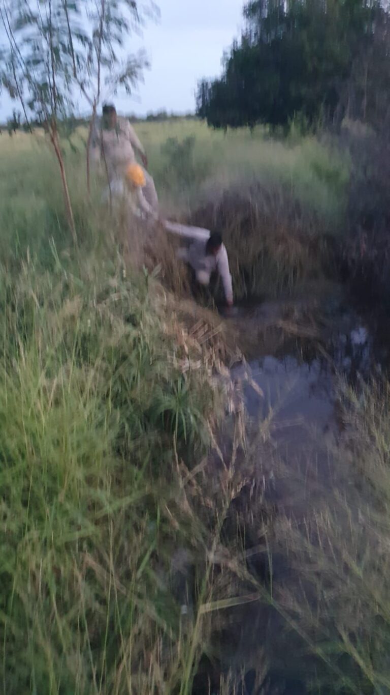 IMG-20220809-WA0044