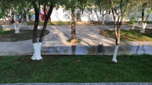 IMG-20220824-WA0056