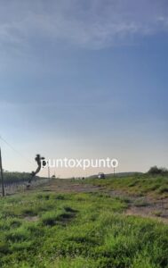 IMG-20220830-WA0027