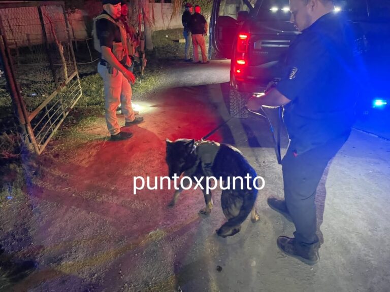 IMG-20230117-WA0046-1