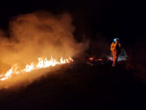 IMG-20230124-WA0149