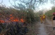 ATIENDE PROTECCIÓN CIVIL INCENDIOS PROVOCADOS EN DIVERSOS LUGARES, ALERTAN POR FOCO ROJO POR FUERTES VIENTOS.