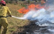 COMBATEN INCENDIO EN LATERAL DE CARRETERA EN MONTEMORELOS.