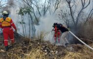 INCENDIO DE PASTIZAL EN ALLENDE MOVILIZA A PROTECCIÓN CIVIL.