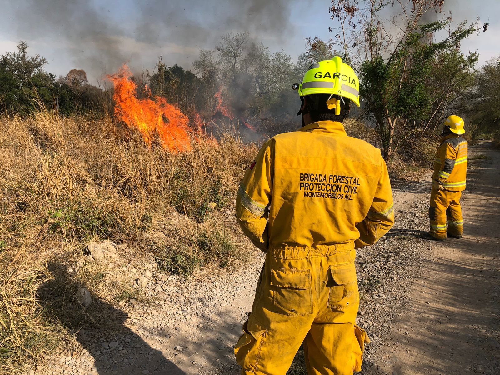 INCENDIO EN COLONIA BUGAMBILIAS FUE ATENDIDO POR PROTECCIÓN CIVIL. | Punto  x Punto