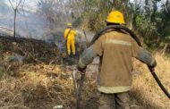 INCENDIO DE PASTIZAL EN ALLENDE MOVILIZA A PROTECCIÓN CIVIL.