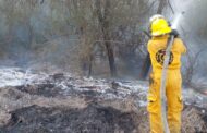 INCENDIO EN TERÁN LÍMITES CON MONTEMORELOS, MOVILIZA A PROTECCIÓN CIVIL.