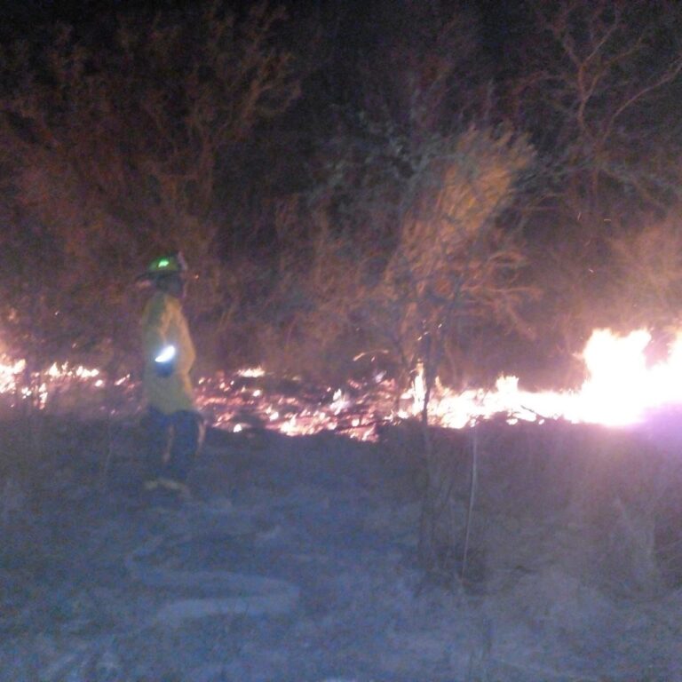 IMG-20230324-WA0017