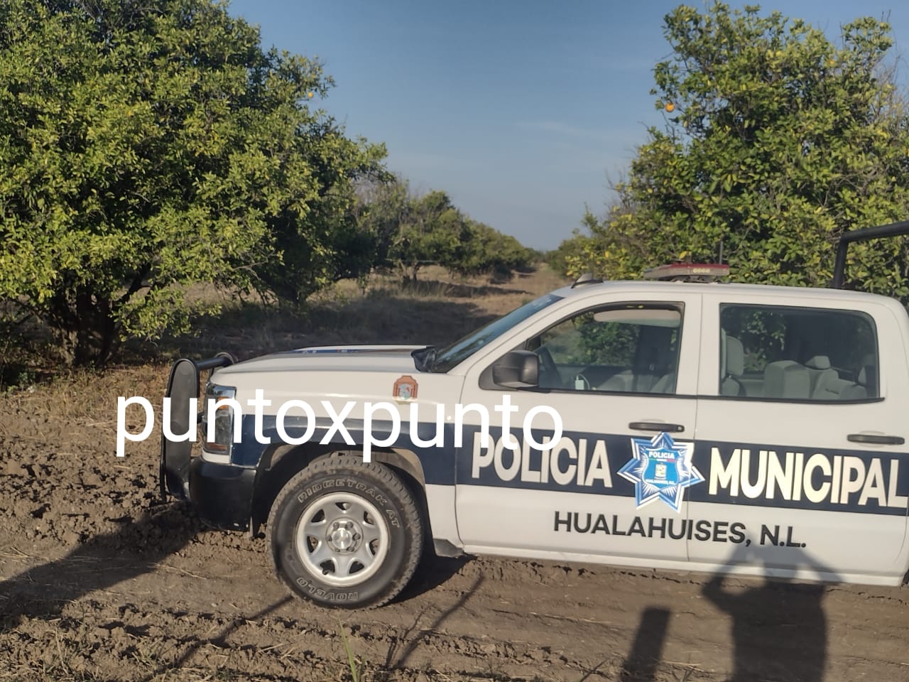 INVESTIGAN LA MUERTE DE UNA PERSONA EN INTERIOR DE UNA HUERTA EN HUALAHUISES.