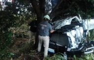 CAMION CARGADO DE MARISCOS Y PECES SE IMPACTA EN ARBOL EN GENERAL TERÁN A CHINA.