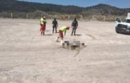 BOLSAS NEGRAS ALARMA PERSONAS Y MOVILIZA A LA POLICIA EN GALEANA.