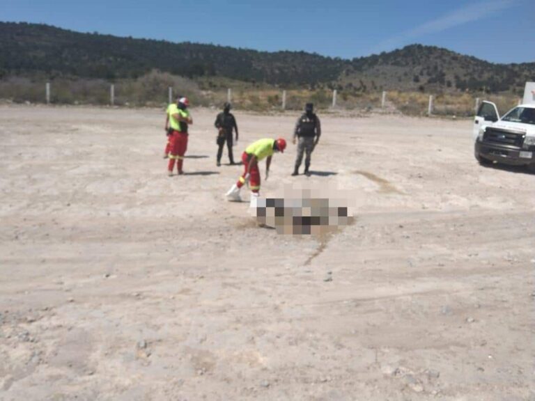 IMG-20230425-WA0054