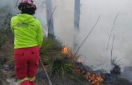 RAYO ORIGINA INCENDIO EN GALEANA.