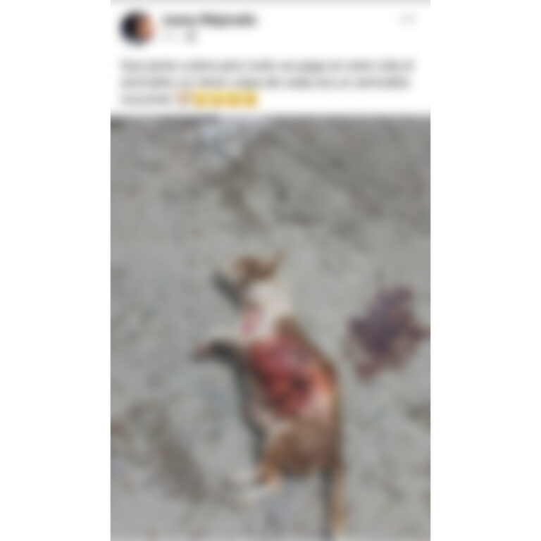 InShot_20230508_181003902