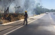 INCENDIO DE PASTIZAL EN ALLENDE, MOVILIZA A PROTECCIÓN CIVIL.