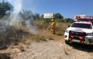 ATIENDE BOMBEROS LINARES INCENDIO PASTIZAL.