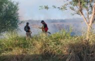 INCENDIO DE PASTIZAL EN ALLENDE, ATIENDE PROTECCIÓN CIVIL.