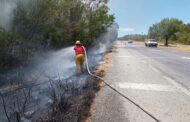 PROTECCIÓN CIVIL CONTROL DE INCENDIO EN CARRETERA NACIONAL.