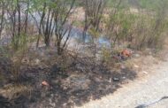 CONTROLAN INCENDIO DE PASTIZAL EN ALLENDE.