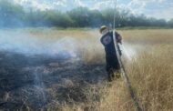 ATIENDE BOMBEROS LINARES INCENDIO DE PASTIZAL.