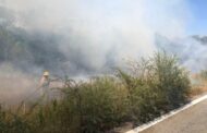 INCENDIO DE PASTIZAL ATIENDE BOMBEROS LINARES.