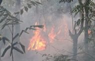 INCENDIO FORESTAL SIN CONTROL EN ARAMBERRI, AFECTA PINOS Y ENCINOS.